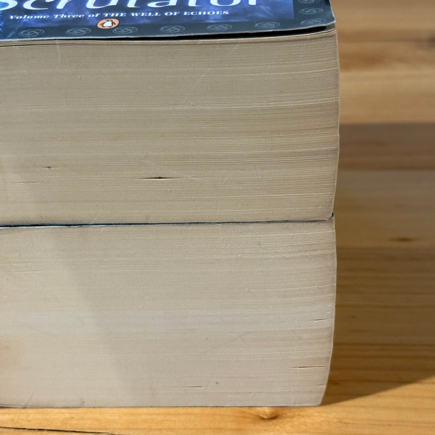 Ian Irvine The Well of Echoes 1-4 Complete Set Fantasy Paperback GD