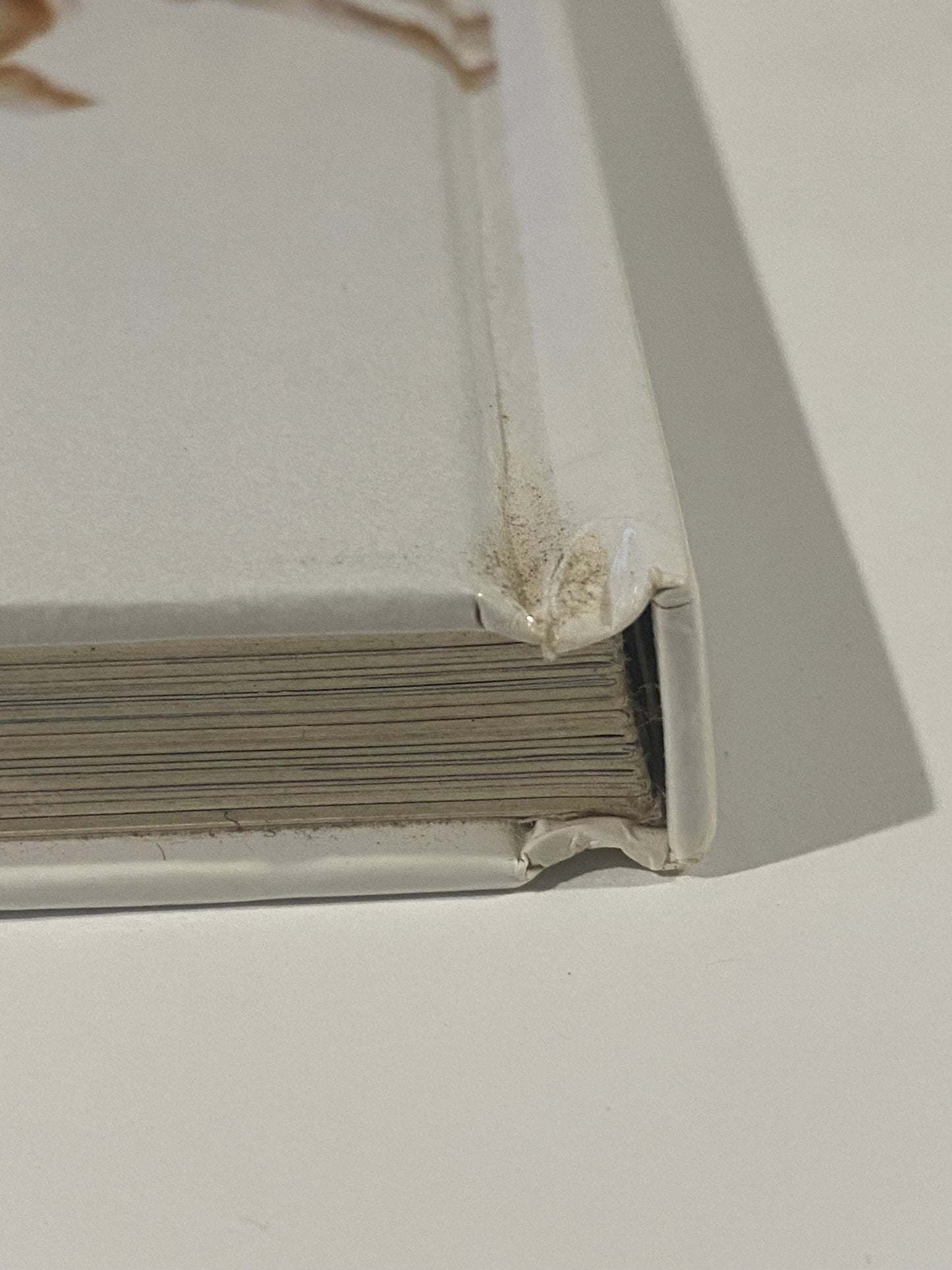 Ezard Contemporary Australian Food Hardcover 2003 Teage Ezard Chef GD