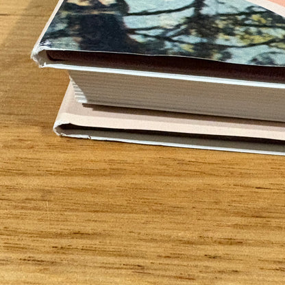 The Stepping Stone A History of the Shire of Bannockburn by Derek Beaurepaire 1995