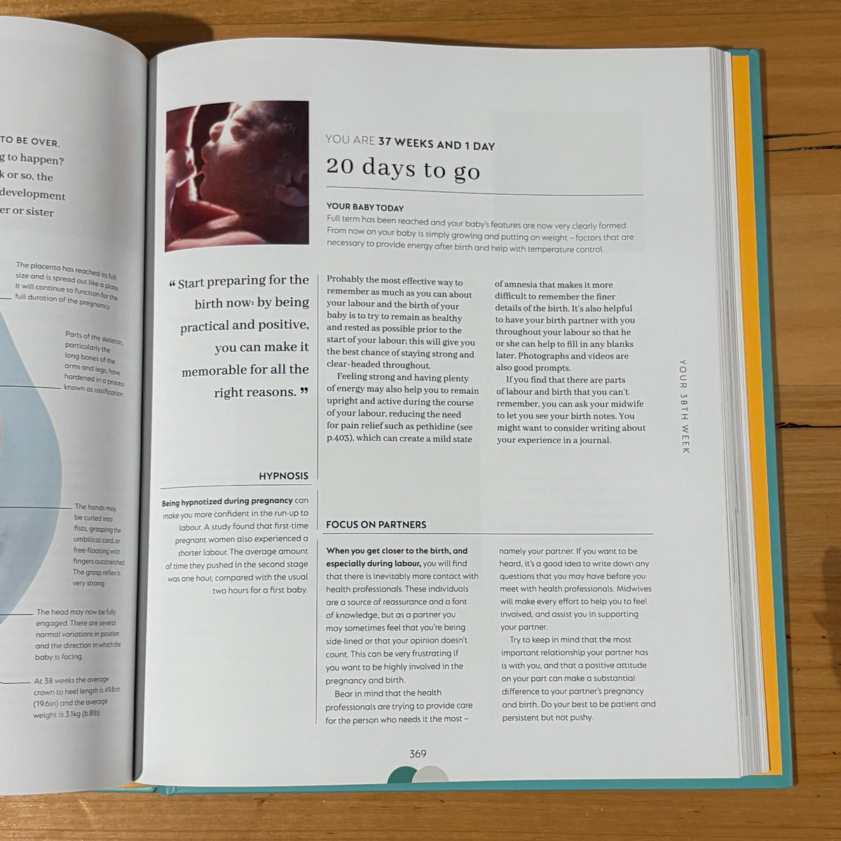 The Day-by-Day Pregnancy Book by Dr Maggie Clott Hardcover 2022 GD
