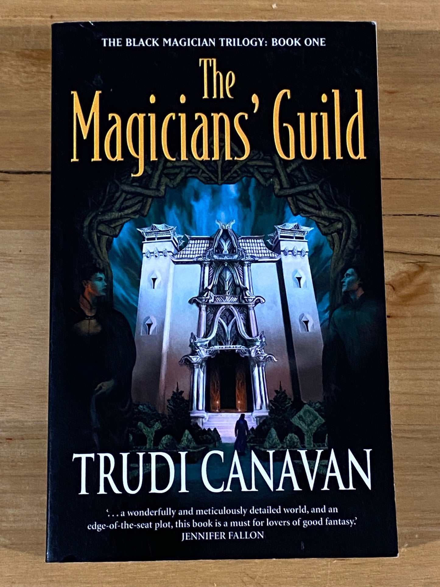 The Magicians Guild by Trudi Canavan Black Magician Trilogy Part 1 Paperback 2001 VGC