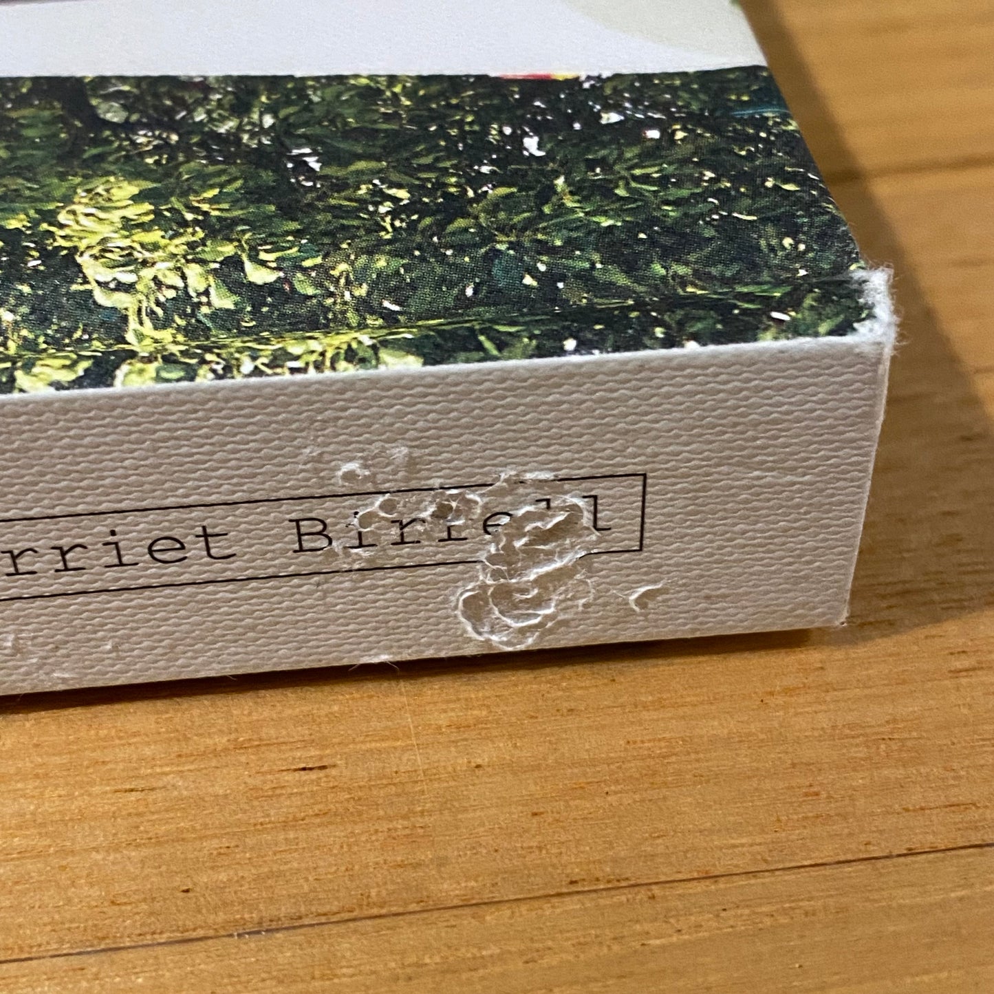 Natural Harry Delicious Plant Based Summer Recipes by Harriet Birrell Hardcover 2015 GD