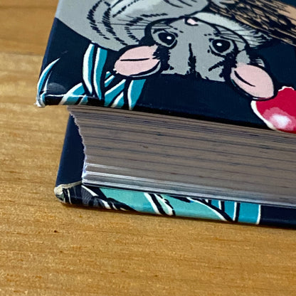 Rewilding Kids Australia Melissa Mylchreest A Mindful Activity Book Paperback 2022 GD