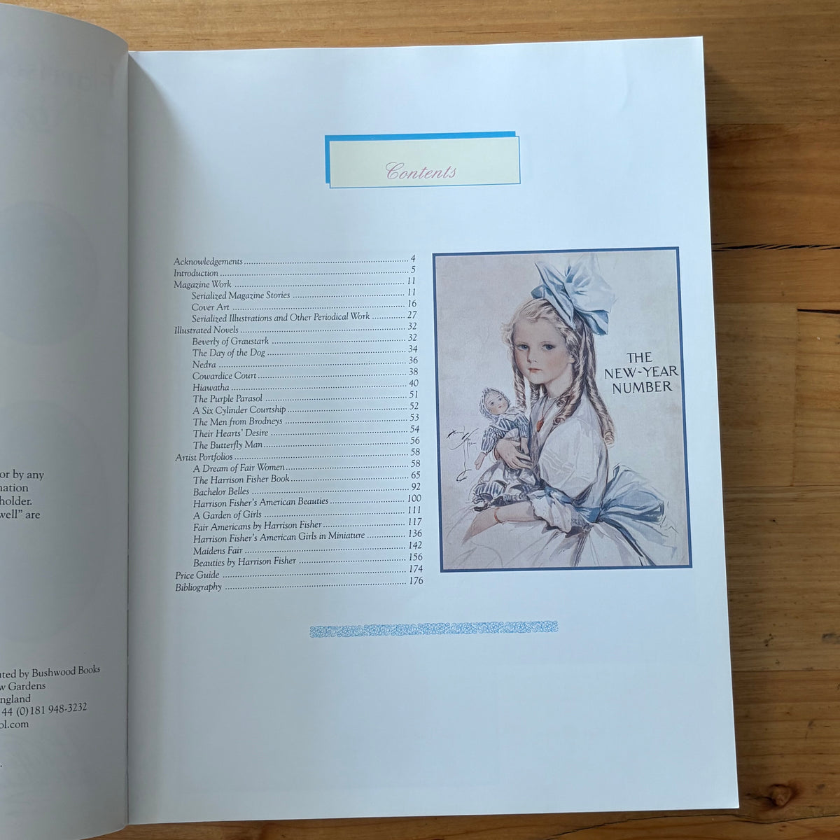 Harrison Fisher Defining The American Beauty Paperback 1999 GD