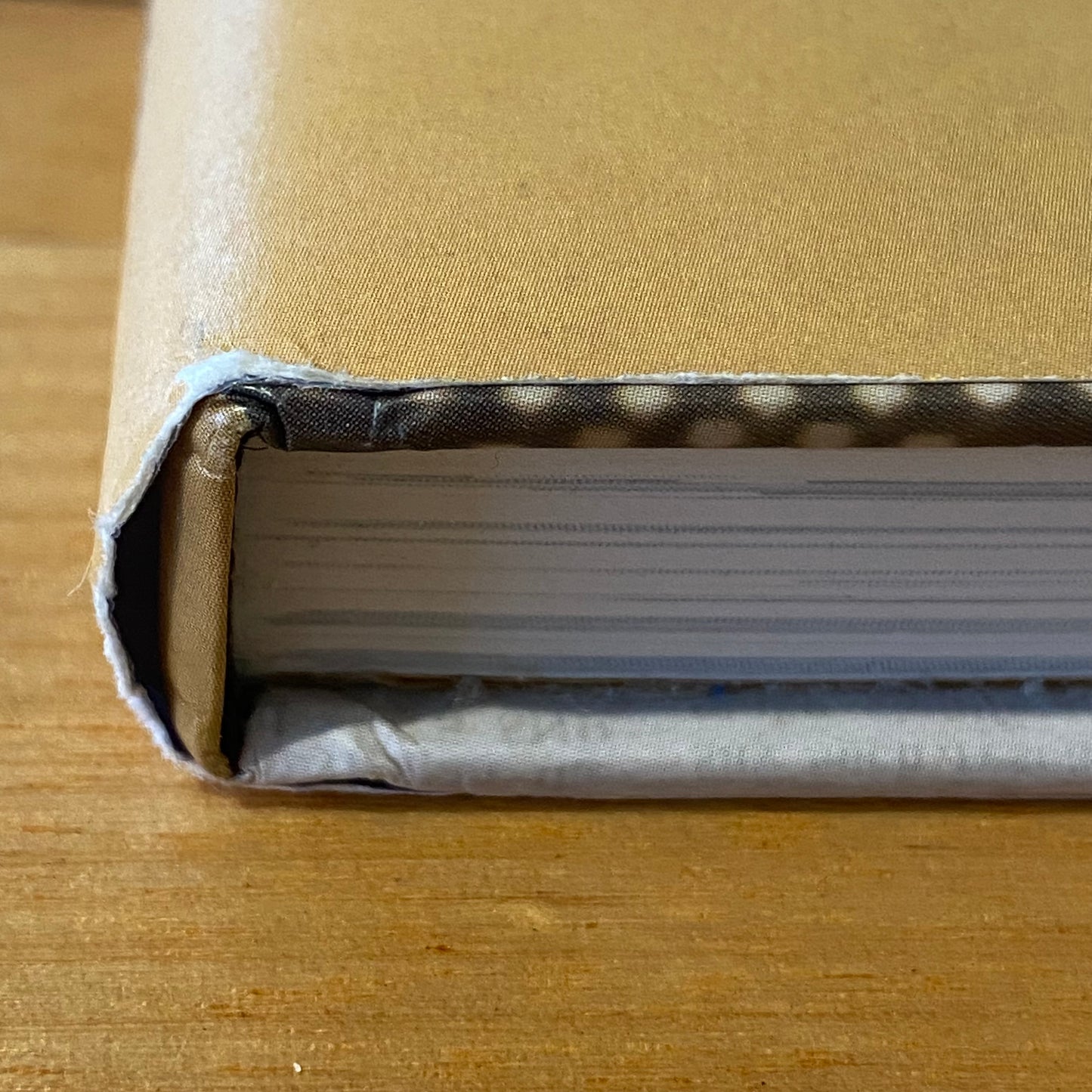 Lemony Snicket: The Unauthorised Biography 1st Print Hardcover 2003 GD