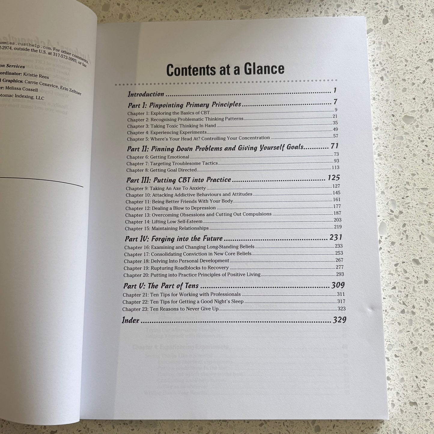 Cognitive Behavioural Therapy Workbook For Dummies 2nd Edition VGC