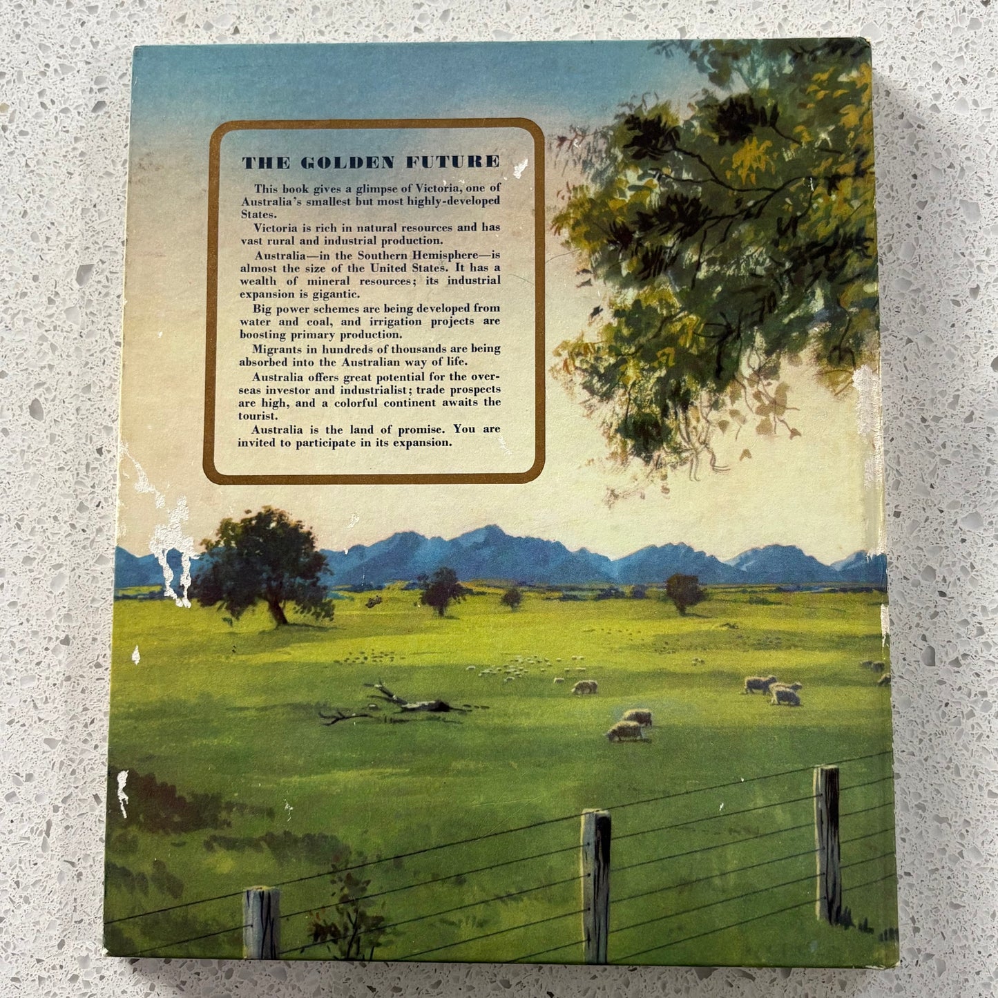 The Western Horizon of Victoria Australia VTG Western Districts Hardcover GD
