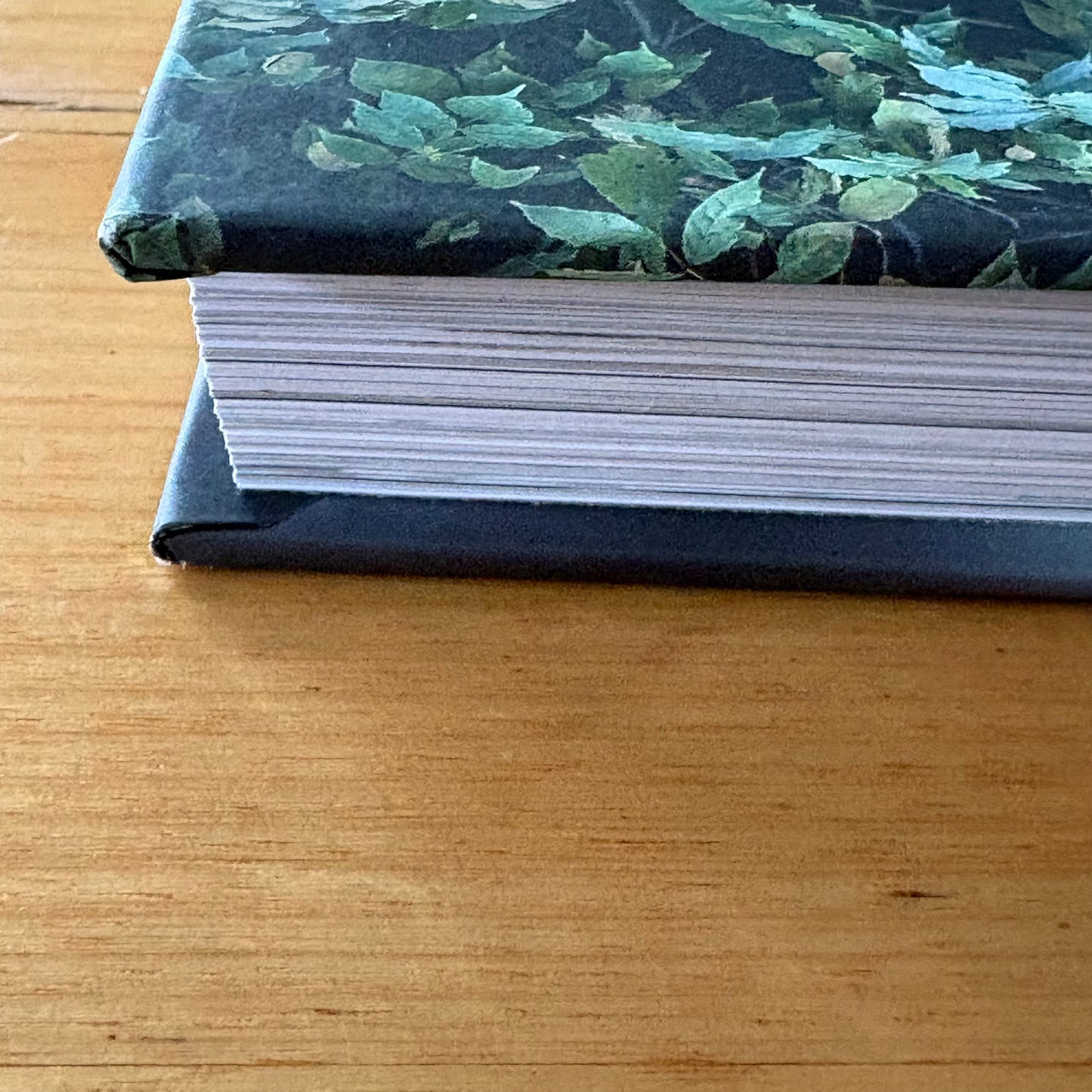 Dogs on Doorsteps by Suzanne Stephenson Hardcover 2022 GD