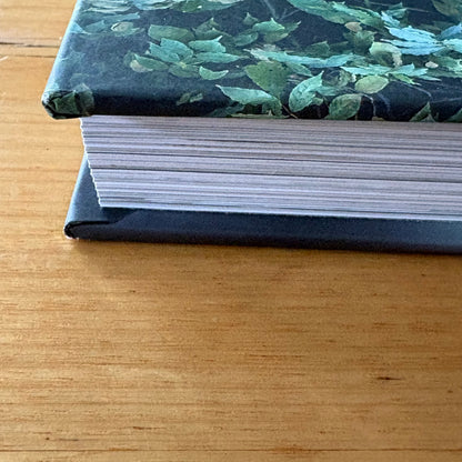 Dogs on Doorsteps by Suzanne Stephenson Hardcover 2022 GD