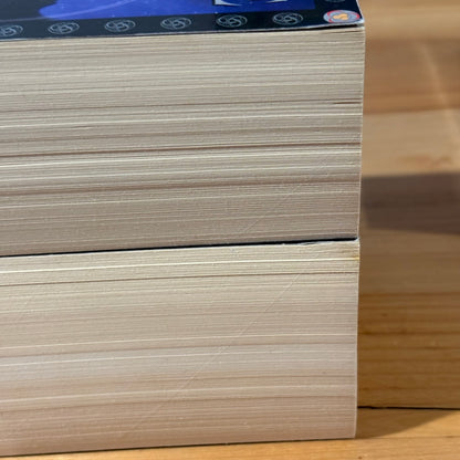 Ian Irvine The Well of Echoes 1-4 Complete Set Fantasy Paperback GD