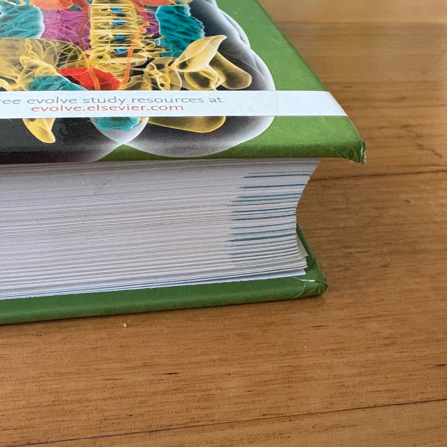 Jarvis's Physical Examination and Health Assessment 2e Hardcover GD