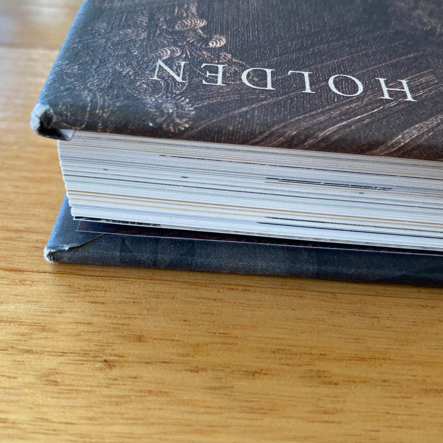 Piranesi's Grandest Tour: From Europe to Australia by Colin Holden Hardcover 2014 GD