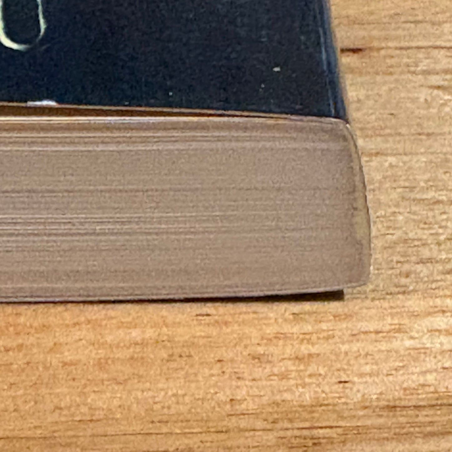 The Envelope by Maurice Wills Signed Paperback Australian Novel 1990 GD