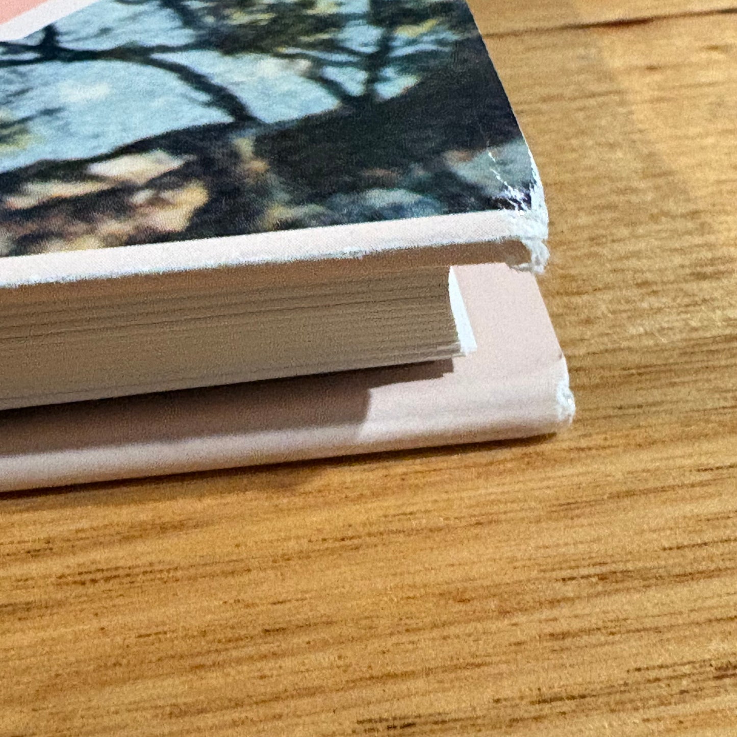 The Stepping Stone A History of the Shire of Bannockburn by Derek Beaurepaire 1995