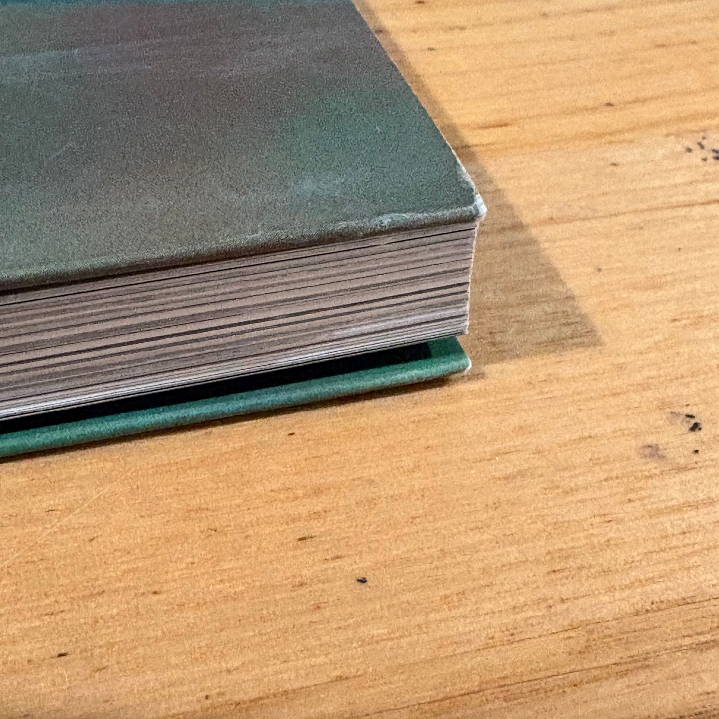 Frangipani Practical Guide To Growing At Home Paperback 2008 GD