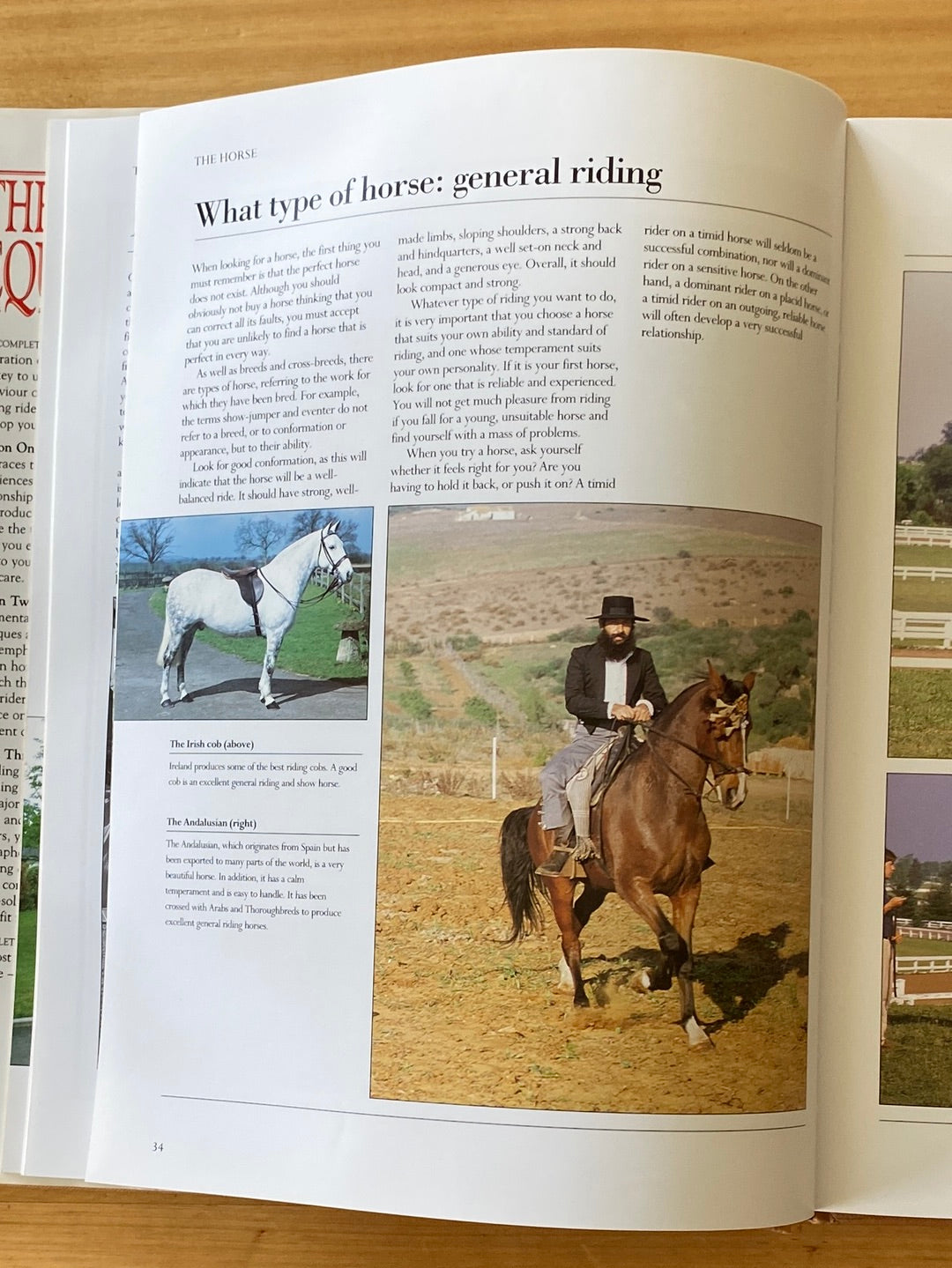 The Complete Equestrian 1990 Guide To Improving Your Riding Skills, VGC