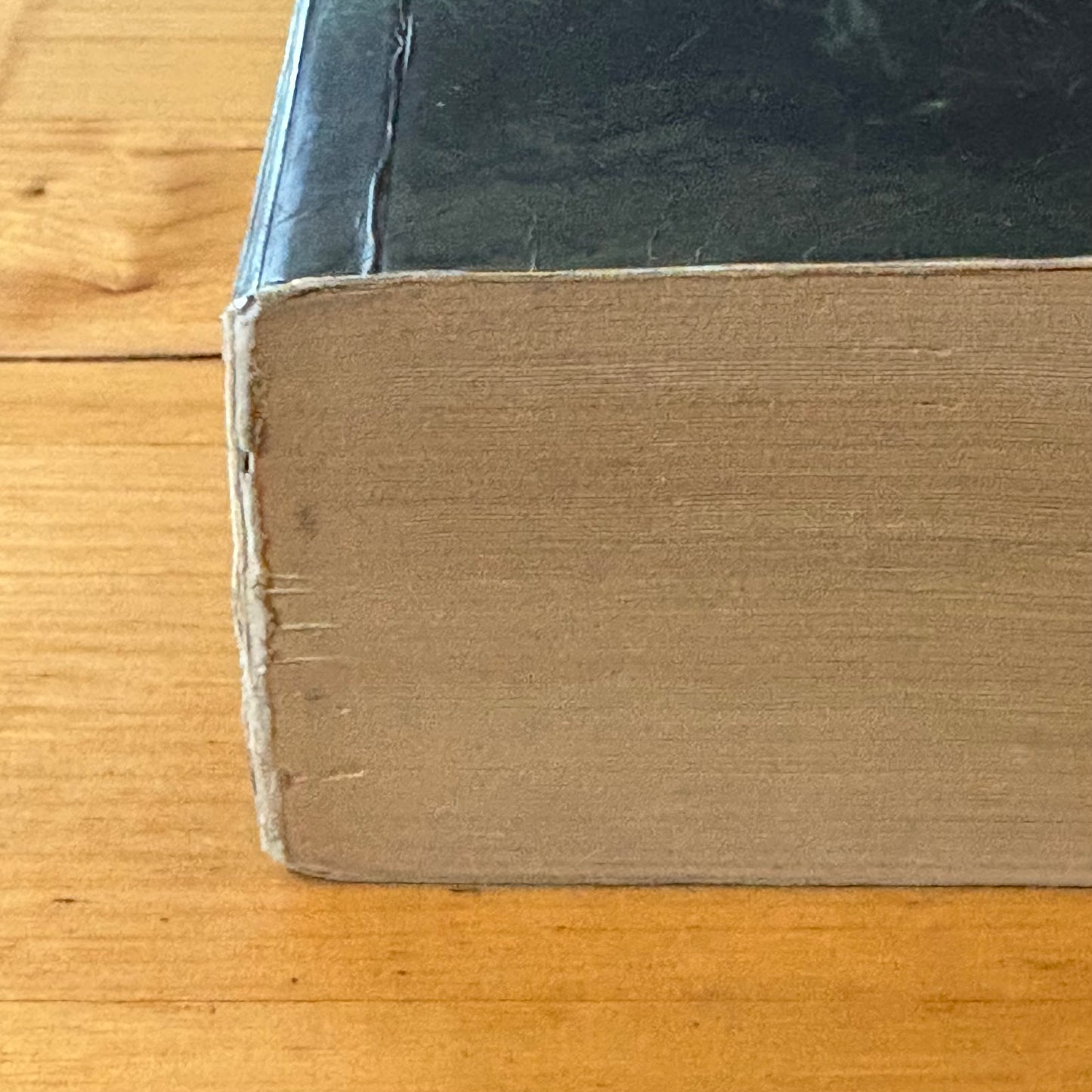 The Lord Of The Rings by J.R.R. Tolkien 2001 Paperback GD