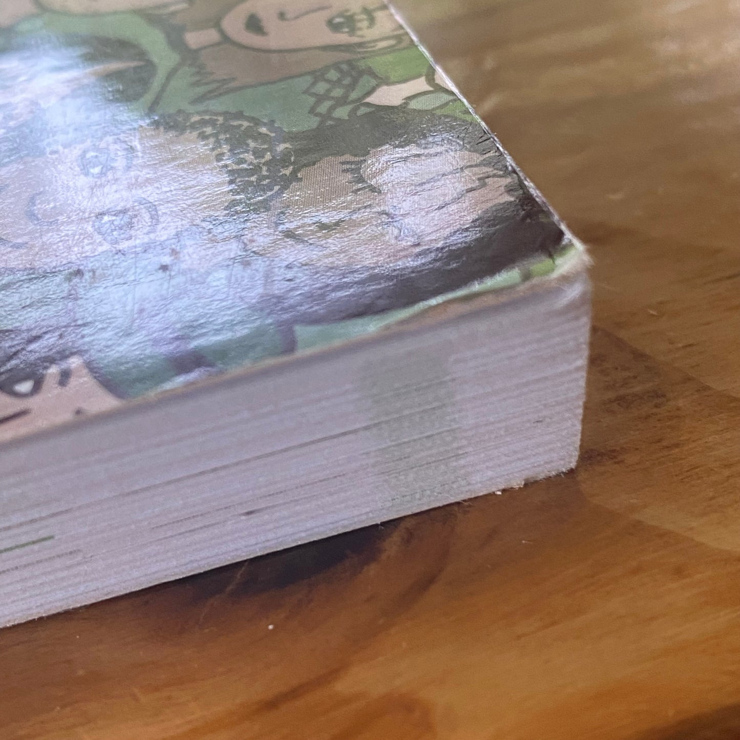 Understanding Sociological Theory For Educational Practices Second Edition Paperback GD