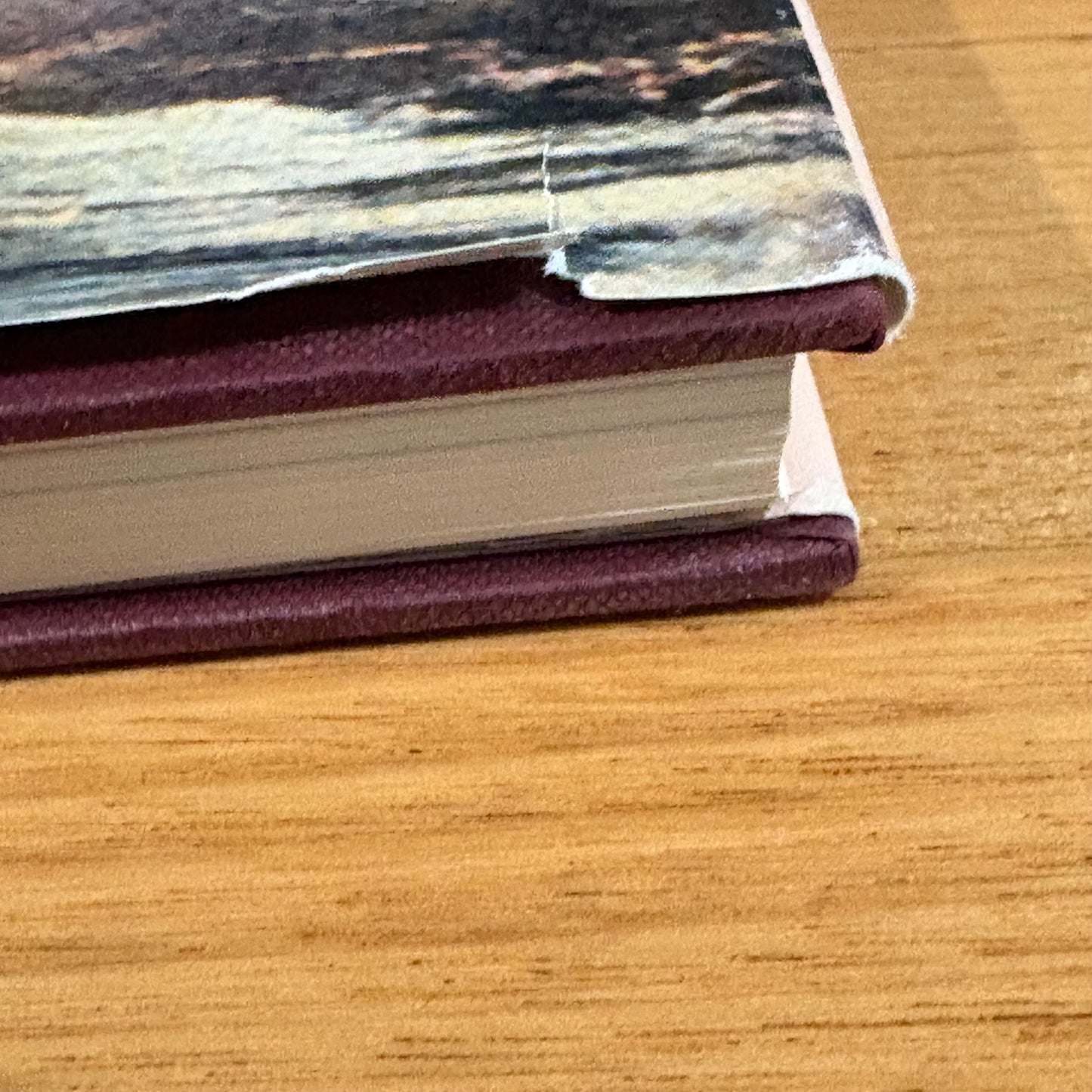 The Stepping Stone A History of the Shire of Bannockburn by Derek Beaurepaire 1995