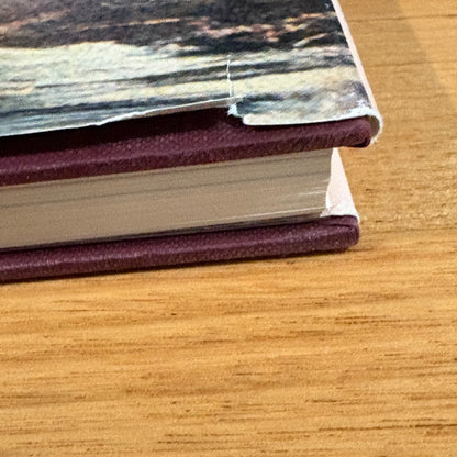 The Stepping Stone A History of the Shire of Bannockburn by Derek Beaurepaire 1995