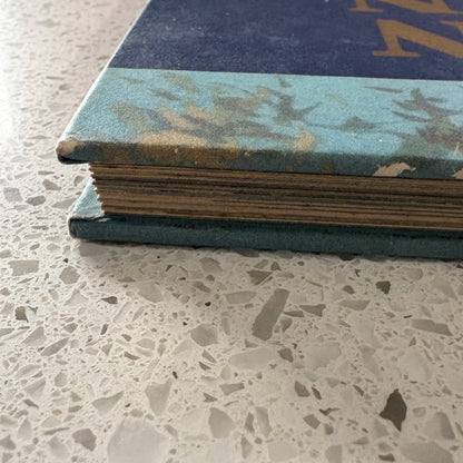 The Western Horizon of Victoria Australia VTG Western Districts Hardcover GD