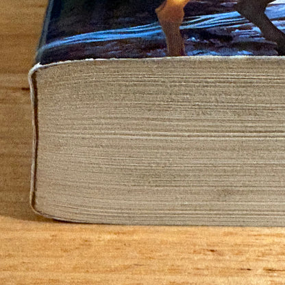 The Demon Apostle R.A. Salvatore Fantasy Paperback 2000 GD