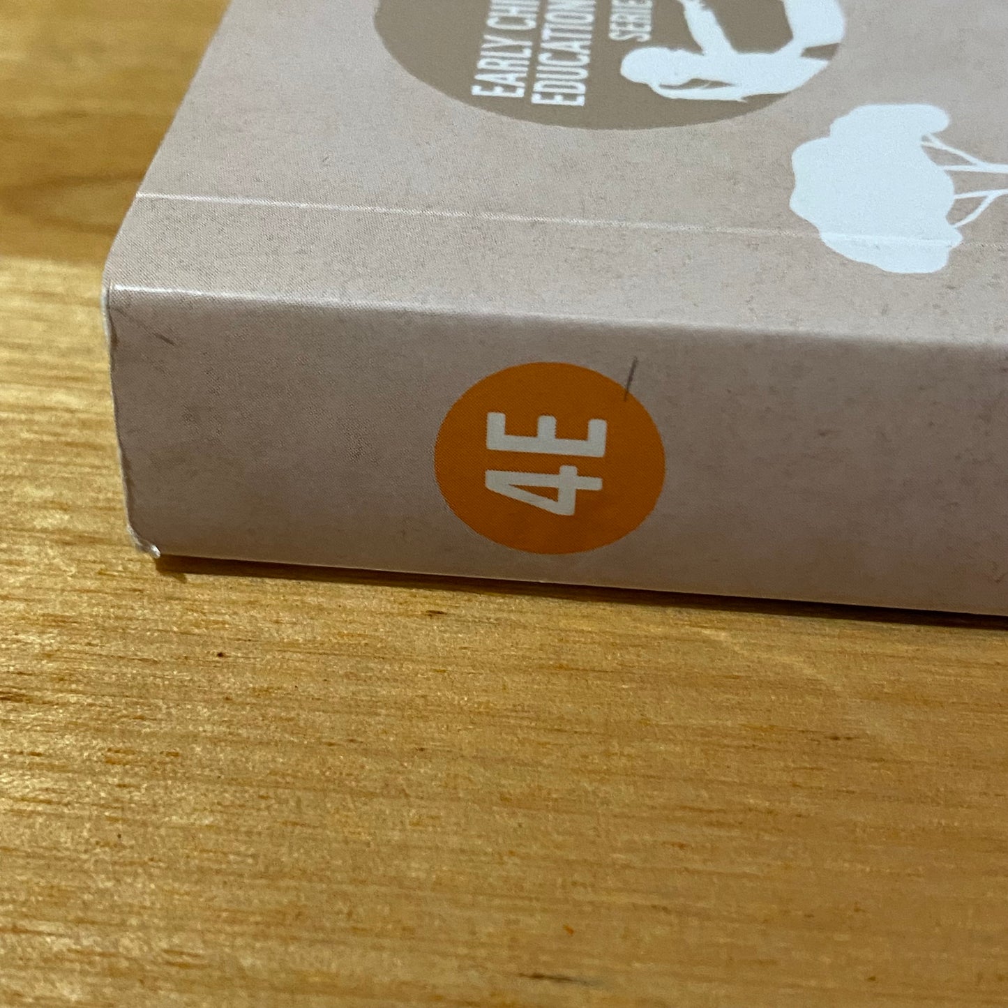 The Big Picture by Karen Kearns 4th Edition Paperback GD