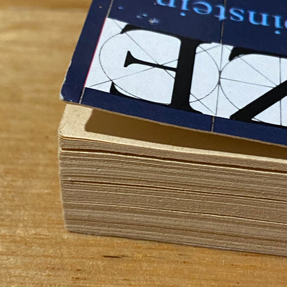 Skymaze by Gillian Rubinstein Science Fiction Paperback 1990 GD