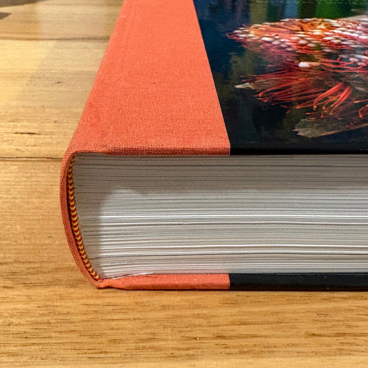 Campbell Biology AUS and NZ Version 11th Edition Lisa A. Urry Hardcover GD