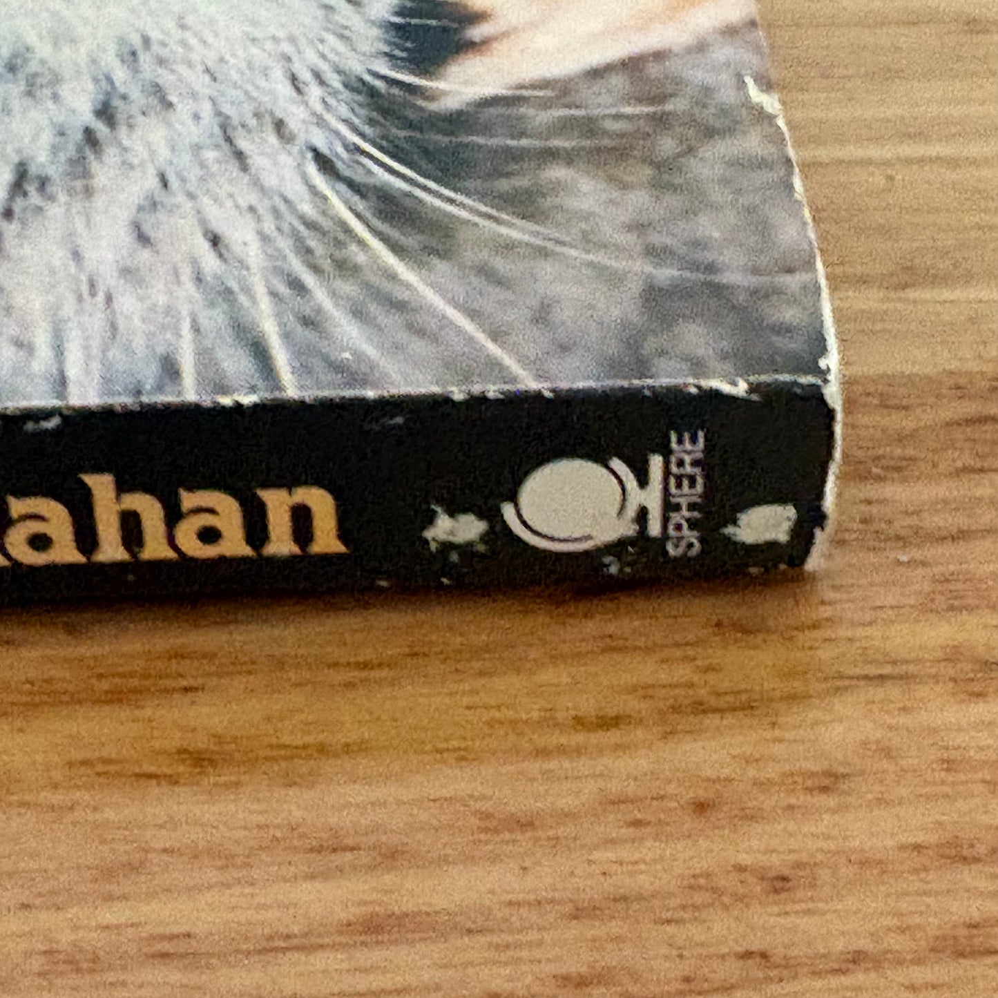 Keeper of the Children by William H. Hallahan Paperback Vintage