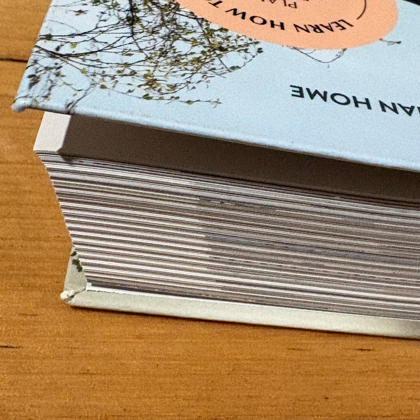 Buildher by Rebeka Morgan and Kribashini Hannon Paperback 2021 GD
