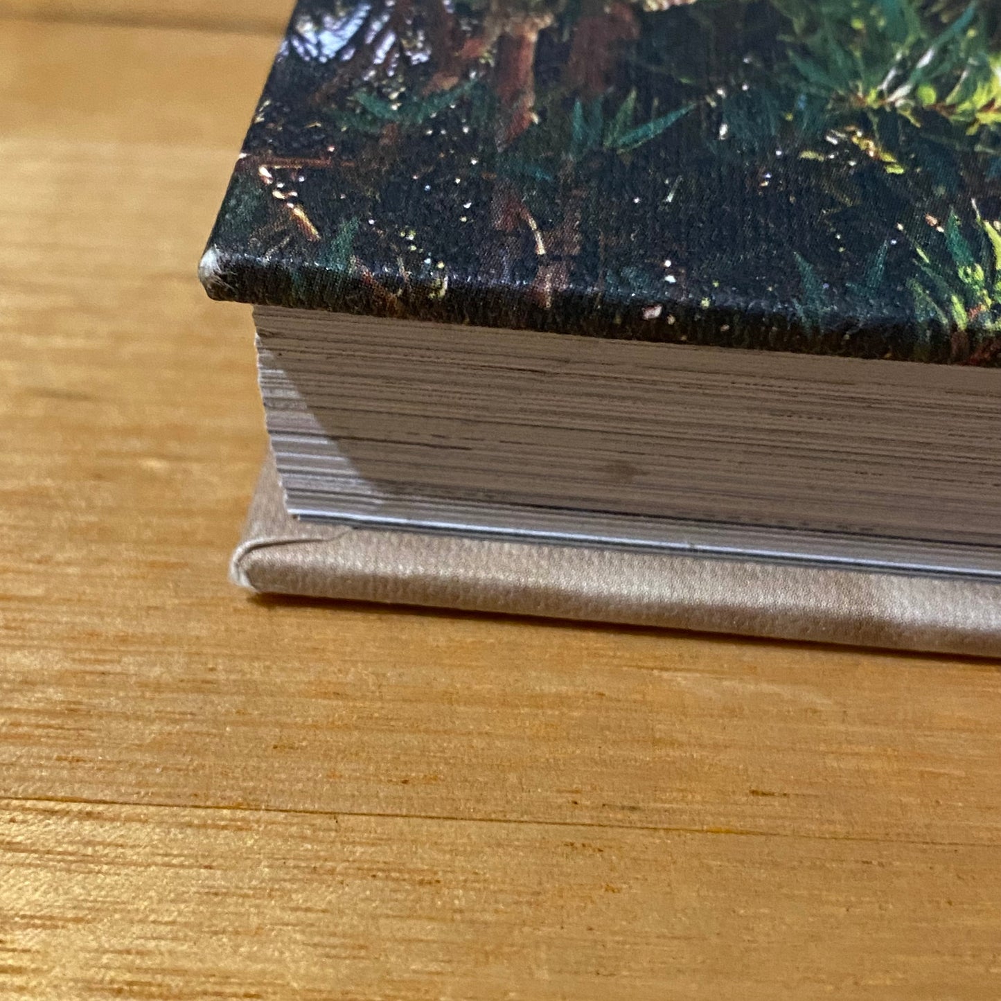 Natural Harry Delicious Plant Based Summer Recipes by Harriet Birrell Hardcover 2015 GD