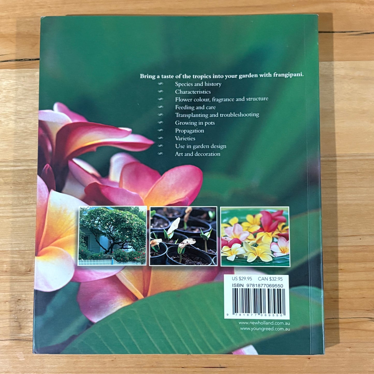 Frangipani Practical Guide To Growing At Home Paperback 2008 GD