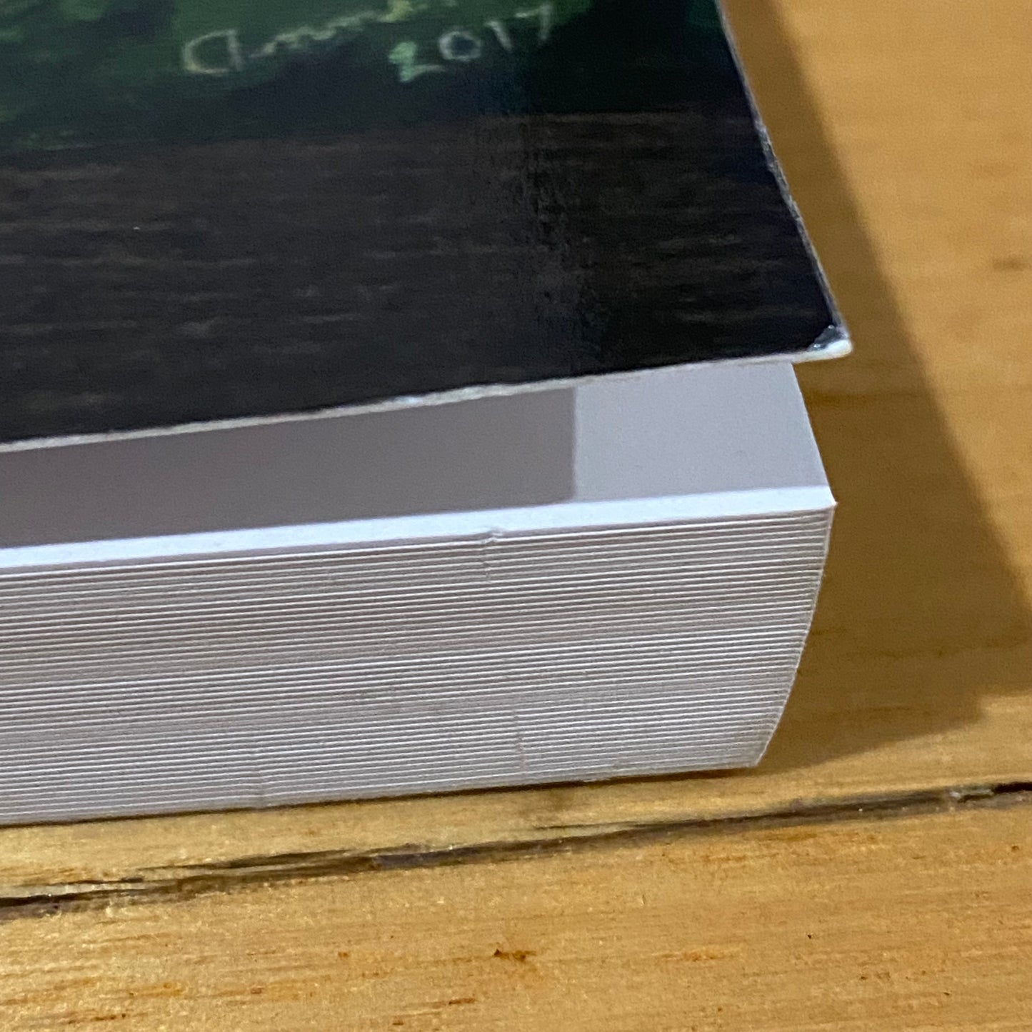 Saint Magnus The Last Viking by Susan Peek Paperback 2015 GD