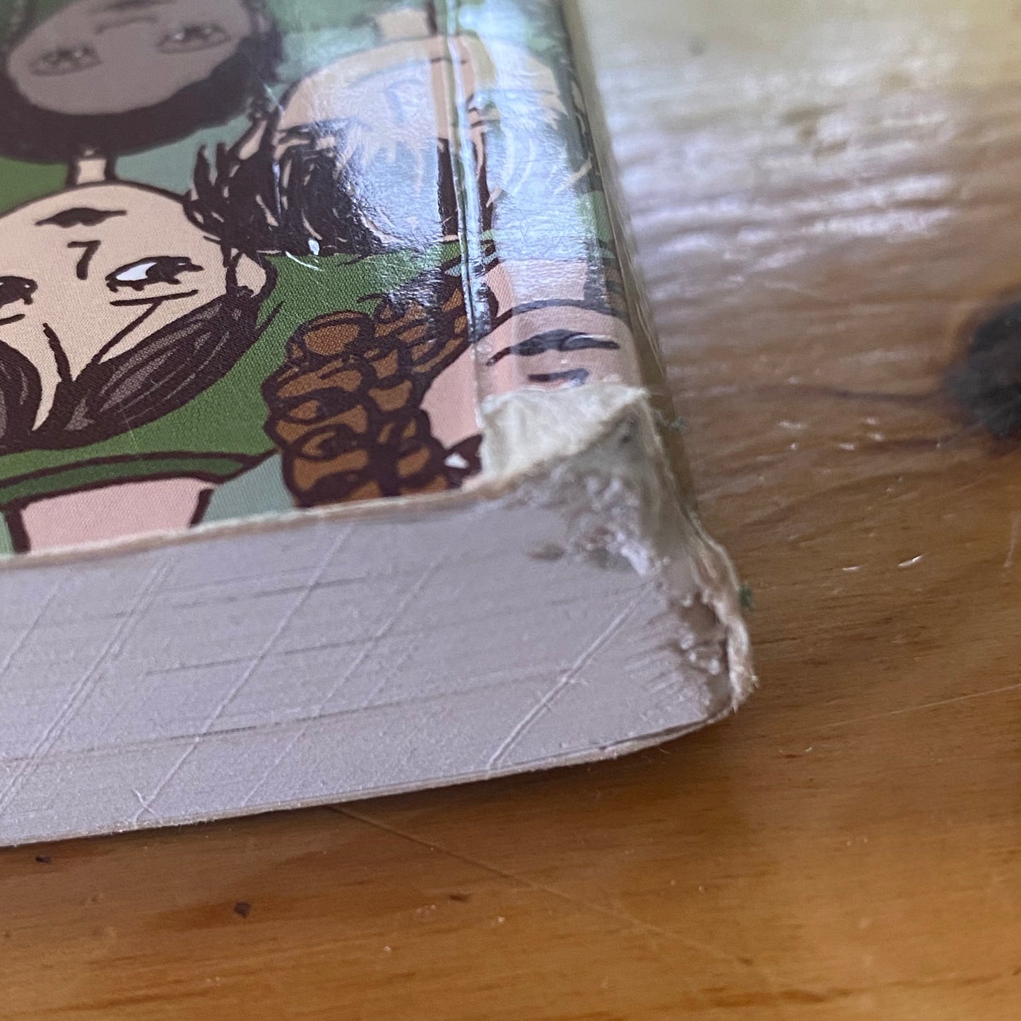 Understanding Sociological Theory For Educational Practices Second Edition Paperback GD