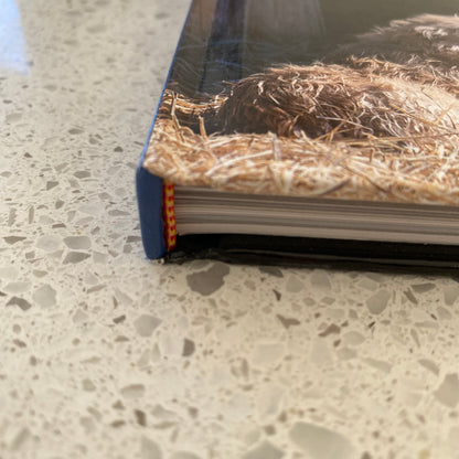 Arabian Studs and Stallions Annual 2018 Hardcover GD