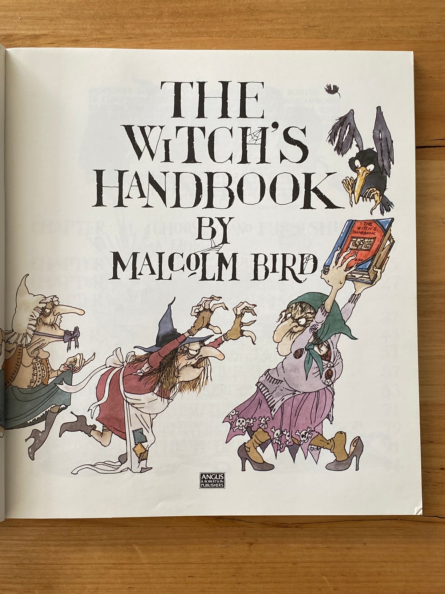 The Witch's Handbook by Malcolm Bird Paperback GD