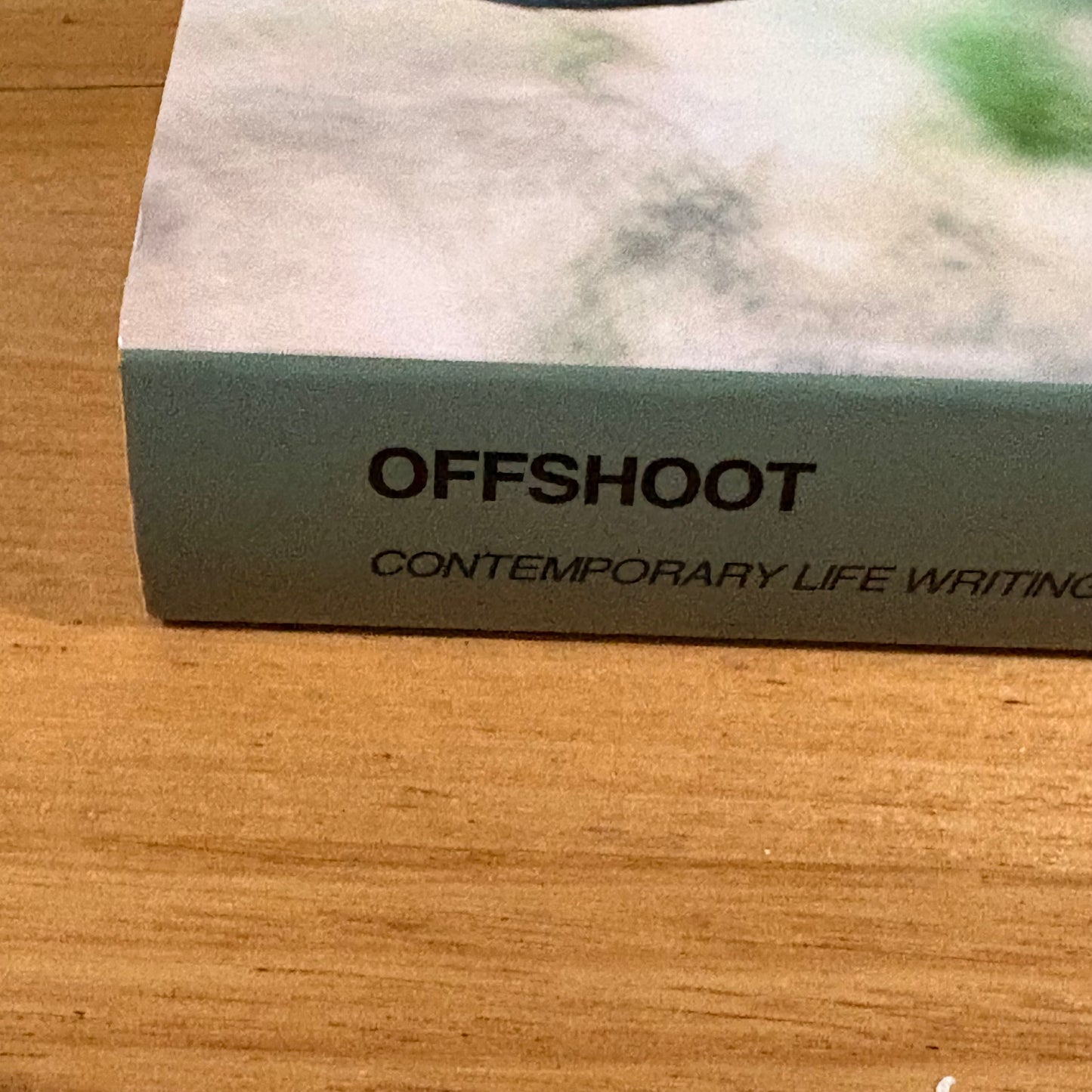 Offshoot Contemporary Life Writing Methodologies and Practice Paperback GD