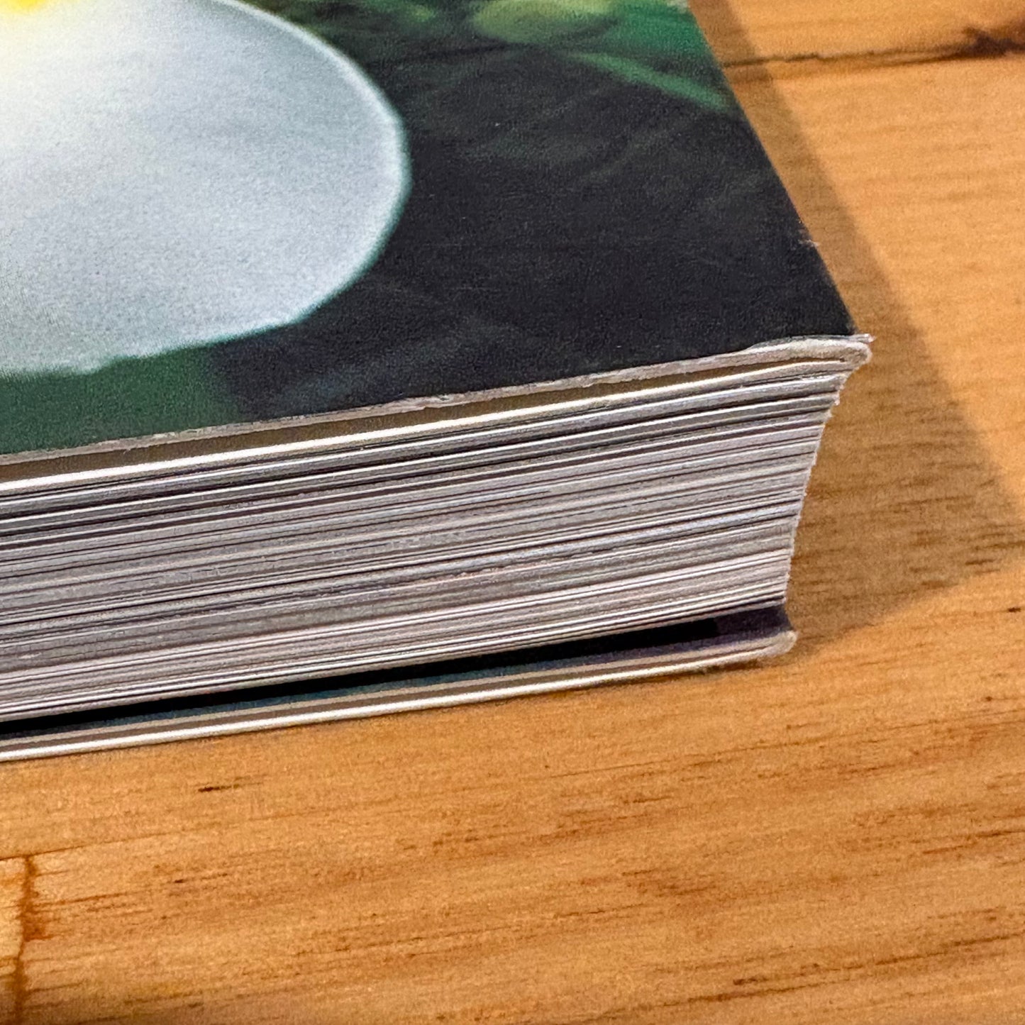 Frangipani Practical Guide To Growing At Home Paperback 2008 GD