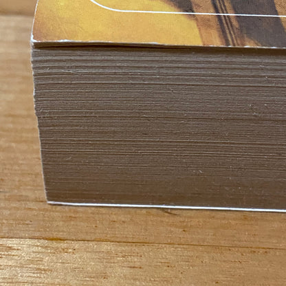 Camber The Heretic by Katherine Kurtz Paperback 1981 GD