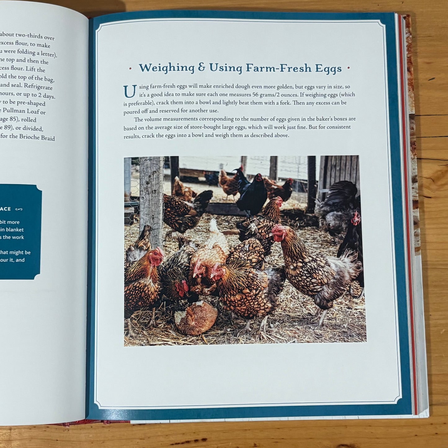 Della Fattoria Bread 63 Foolproof Recipes by Kathleen Weber Hardcover 2014 GD