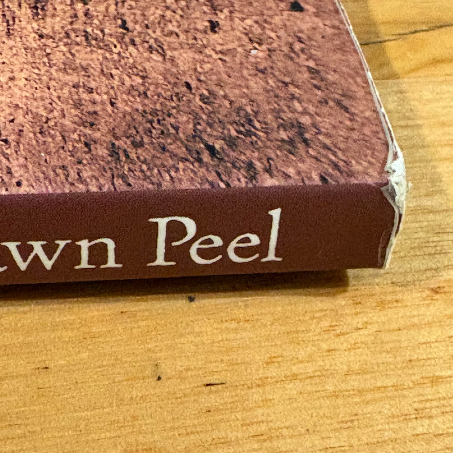 1857 Year Of Hope In The Colac District Dawn Peel Paperback 2006 GD