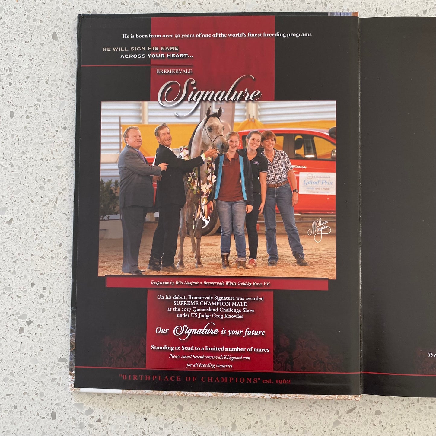 Arabian Studs and Stallions Annual 2018 Hardcover GD