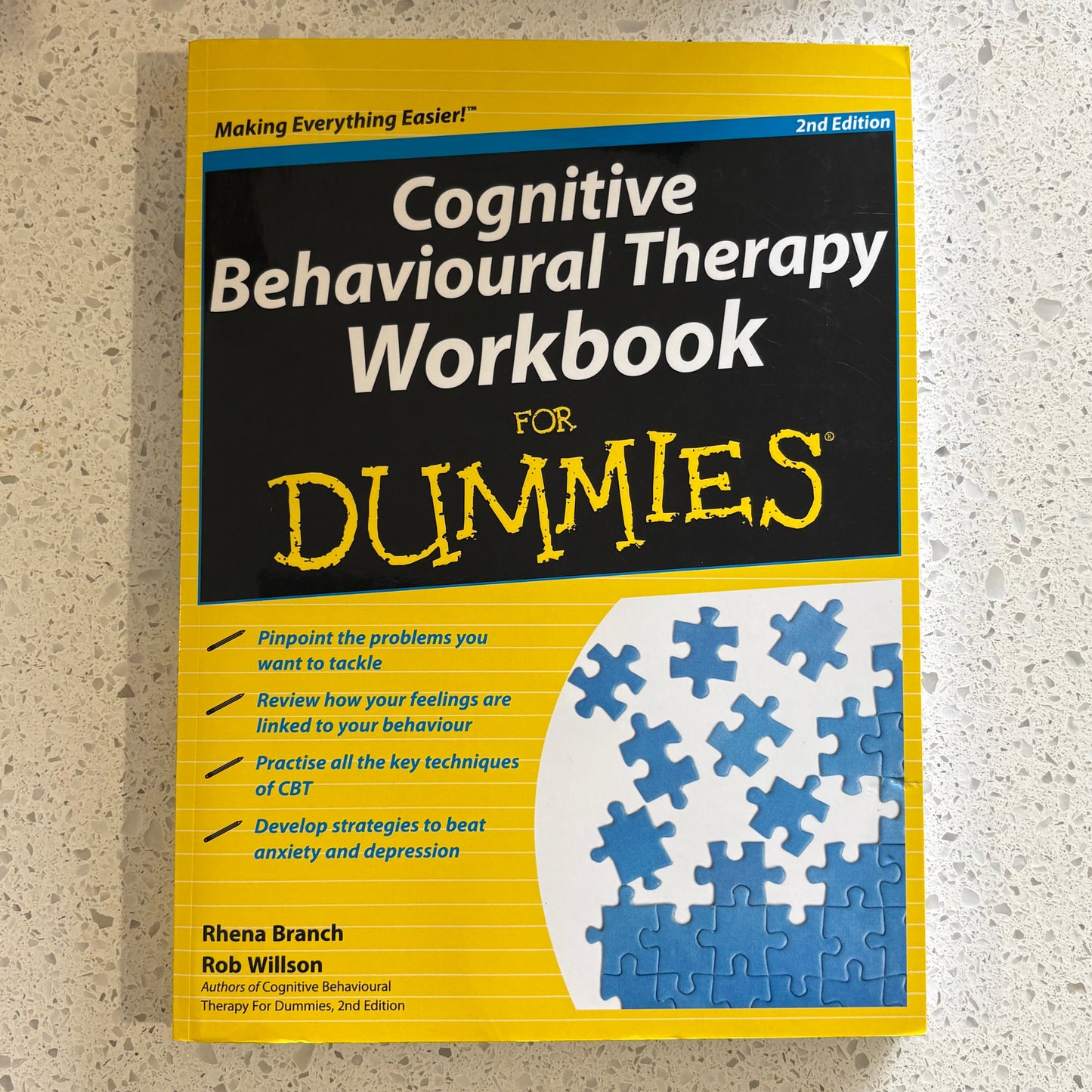 Cognitive Behavioural Therapy Workbook For Dummies 2nd Edition VGC