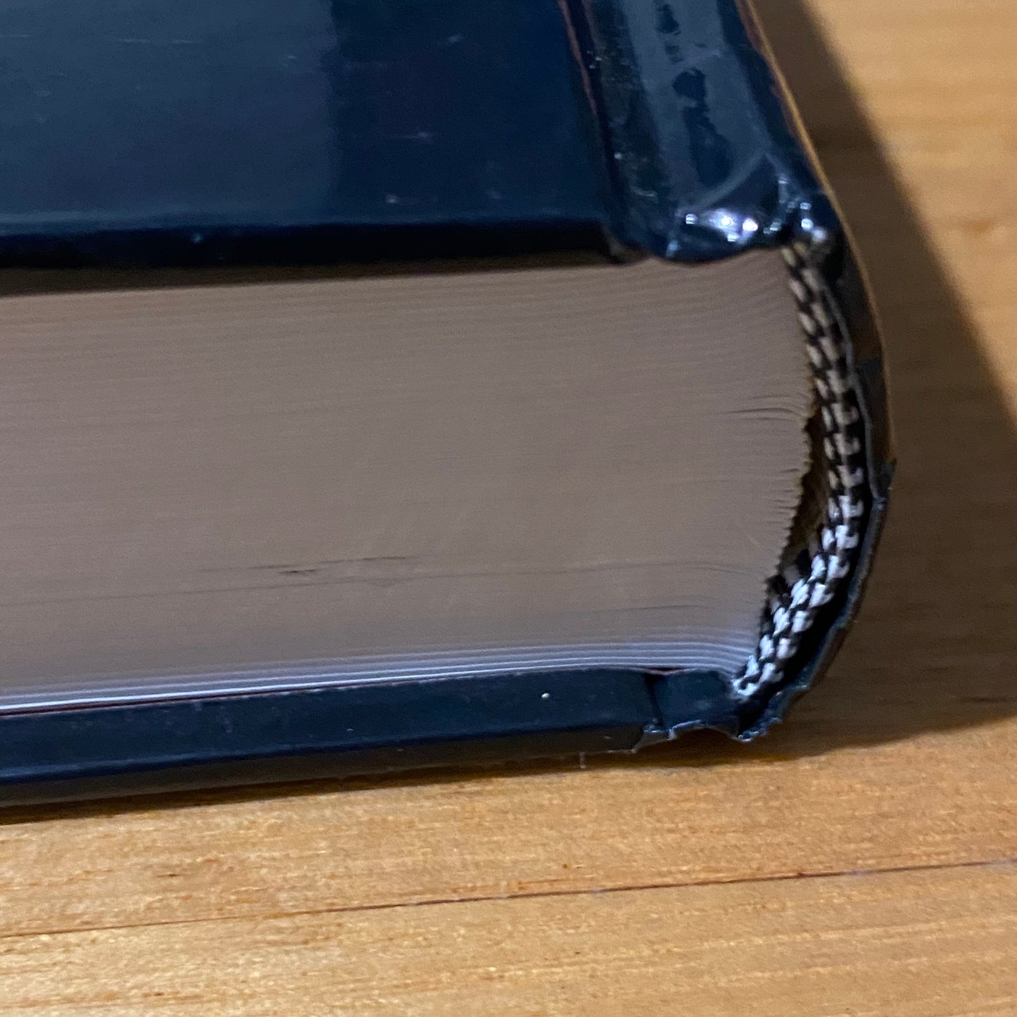 Principles Of Animal Communication 2nd Edition Bradbury Vehrencamp Hardcover GD