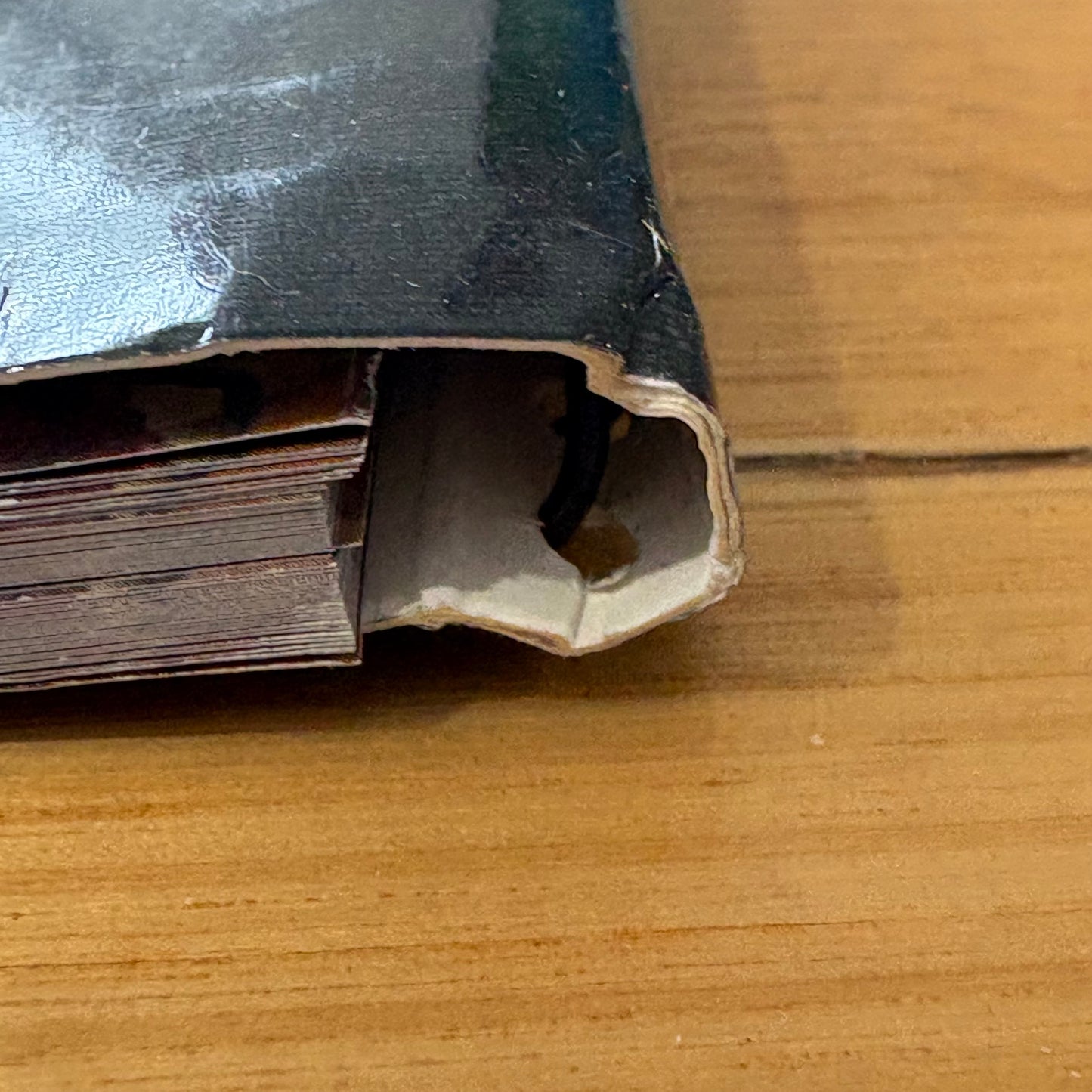 The Lazy Man's Guide To Spit-Roasting by Michael Muller Paperback GD