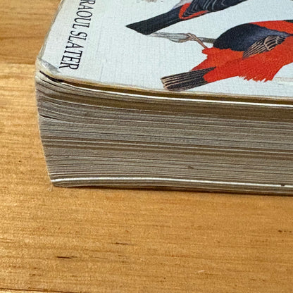 The Slater Field Guide To Australia Birds Revised Edition Paperback 1991 GD