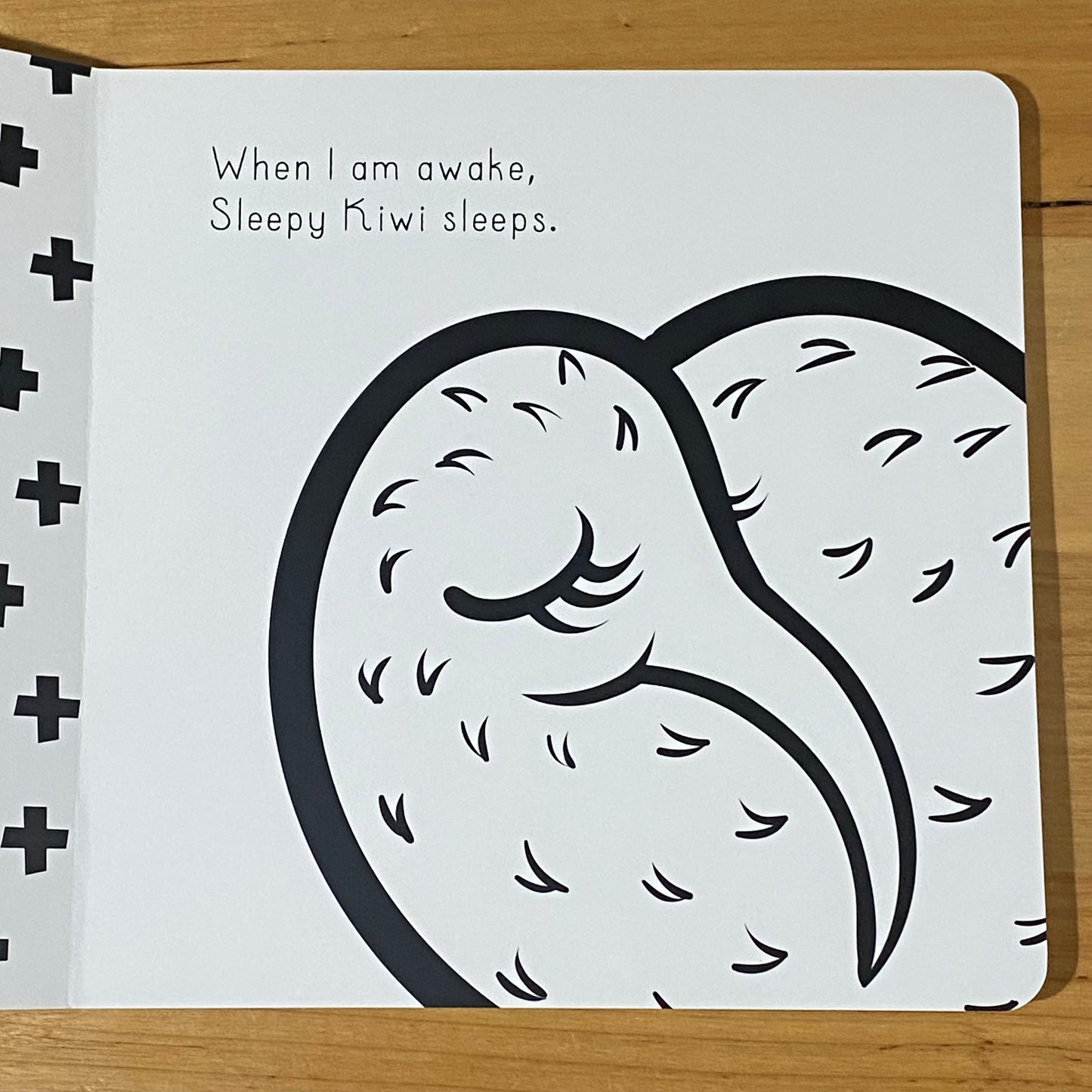 Sleepy Kiwi by Kat Quin Children's Bedtime Book Hardcover 2015 GD