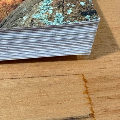 Bush Heritage Australia Restoring Nature Step by Step Sarah Martin Paperback GD