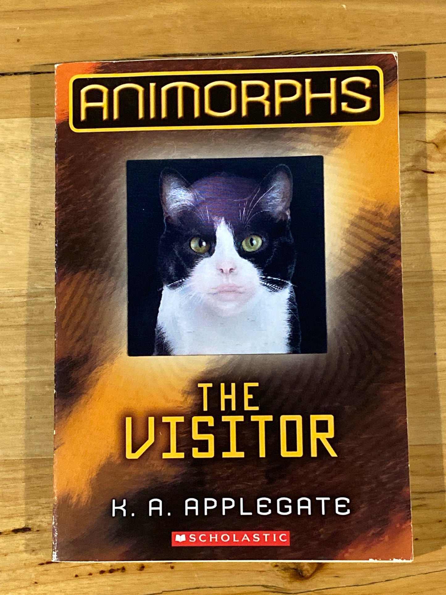 Animorphs The Visitor by K.A. Applegate Paperback 1996 GD